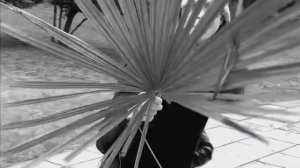 ВОЕННЫЙ САНАТОРИЙ МО РФ «КРЫМ». Санаторий с лечением.  Партенит. Санаторий КРЫМ МАРТ 2019 год. ОБЗО