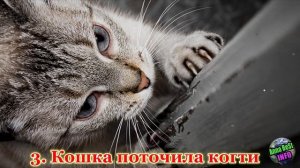 Если Дверь Заскрипела, Сама Открылась или Слетела с Петель, то Это Предвещает…
