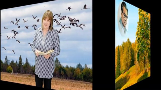 Зелёными просторами легла моя страна - литературная гостиная смотреть онлайн