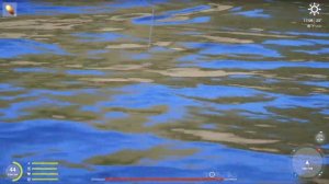 ЧАВЫЧА ТРОФЕЙ 50 кг | р. Яма | Русская Рыбалка 4