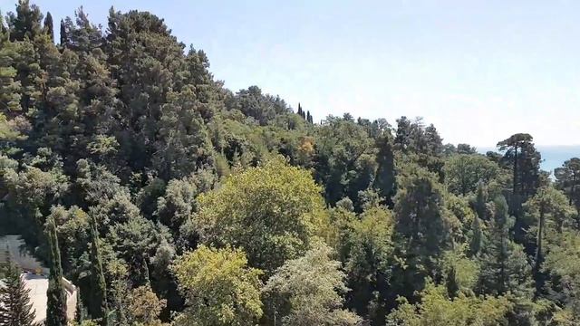 1 день Сочи Электроника смотреть онлайн