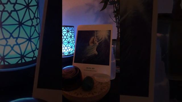 DAILY ORACLE :: oneness :: rest, release restore - 3/13/19 смотреть онлайн