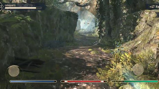 The Elder Scrolls Blades Gameplay.