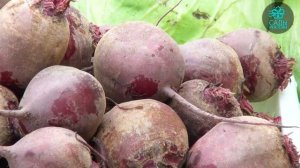 Свекла Детройт