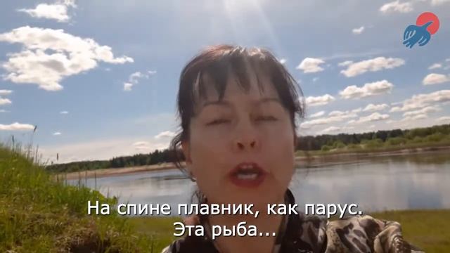 Разминка для ума. Загадки про рыб от Алёны Сметаниной смотреть онлайн