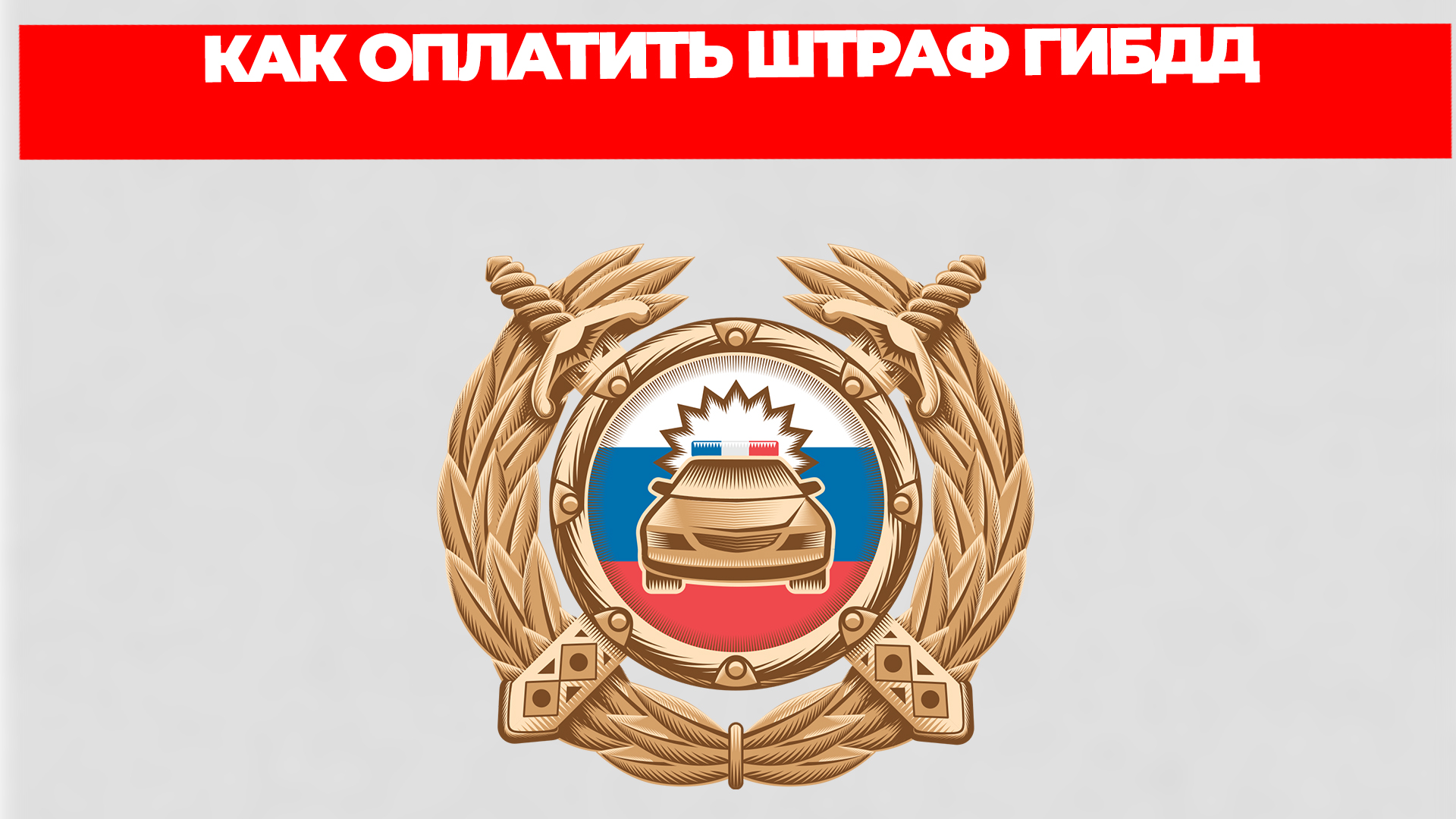 Всезнающий Енот