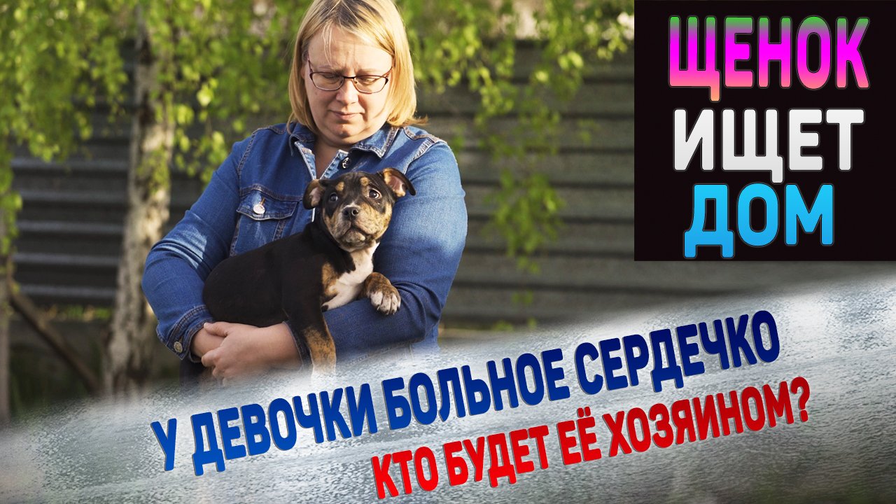 Щенок с больным сердцем в поиске хозяев, которые будут любить и лечить всю жизнь! смотреть онлайн