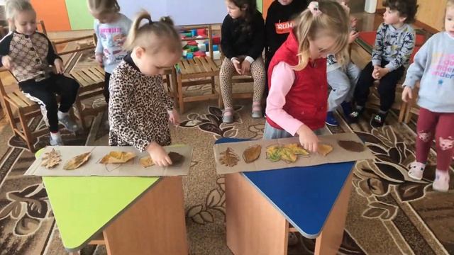 Розвиваюча гра "Впізнай листочок за контуром" смотреть онлайн
