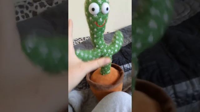 танцующий кактус смотреть онлайн