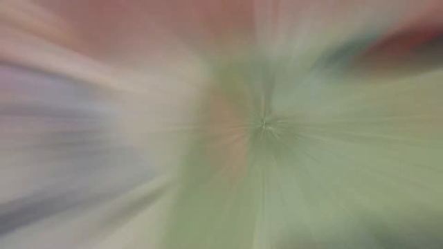 Школа боевых искусств Анатолия Чиканчи в действии смотреть онлайн