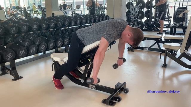 Разведения гантелей в наклоне с упором смотреть онлайн