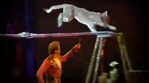 The Mystery Of Giant Elephants "Тайна слонов-великанов"