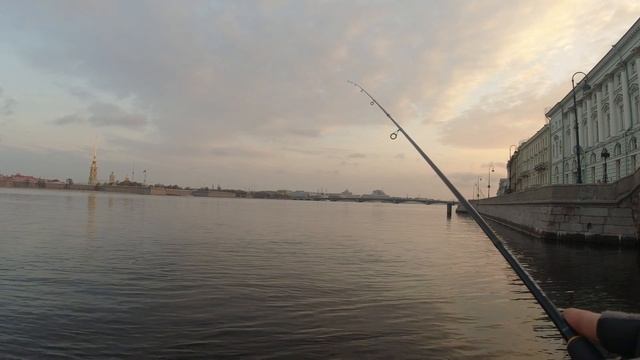 #385 #streetfishing  | Невский окунь |