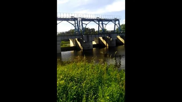 Мужик упал лицом в воду смотреть онлайн