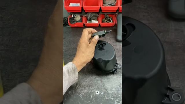 3 сентября 2021 г. смотреть онлайн