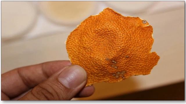 Economic Botany Of Mandarin Orange (Citrus Reticulata)