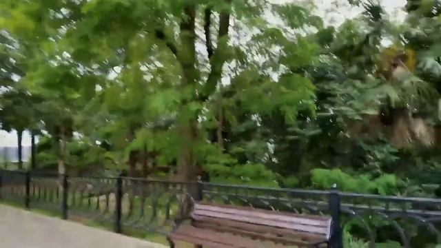 2017, 2021.Сочи.Парк имени Фру́нзе и море/ Sochi. Frunze park and the sea/ El parque Frunze y el ma смотреть онлайн