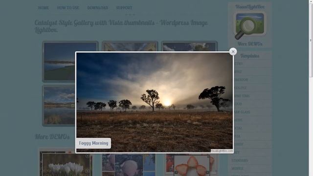 Wordpress Lightbox - no coding, just point-&-click! смотреть онлайн