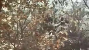 "Бэла: Герой нашего времени", 1965г. 10/12