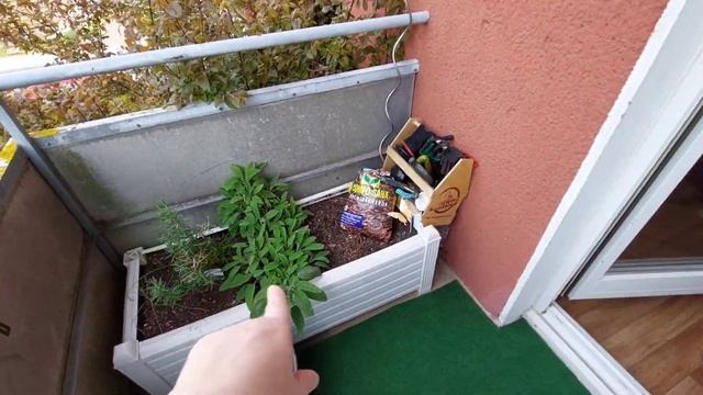 Наш день #409 Любимая зарядка. Лёгкая уборка в спальне. Обед на балконе. смотреть онлайн