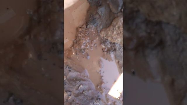 Моя первая абиссинская скважина. Часть1 смотреть онлайн