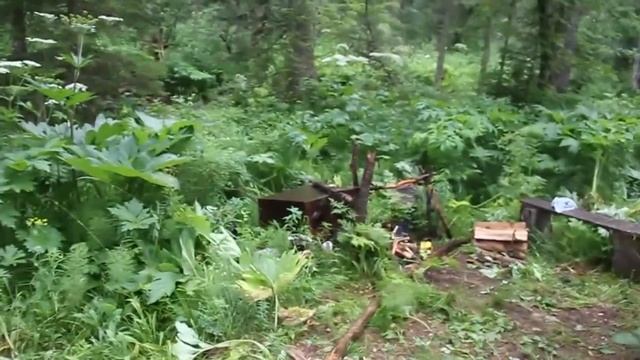 ОБЛИВАЕМ Г. ВЫЖИВАЛЬЩИКОВ, ПРОФЕССИОНАЛЬНЫЙ БУШКРАФТ смотреть онлайн