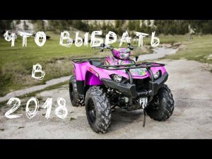 Какой квадроцикл купить в 2019 году. Какой квадроцикл лучше купить