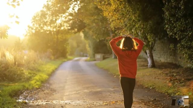 Дальнобойщик спас волчицу с приплодом… От их благодарности обомлела вся деревня смотреть онлайн