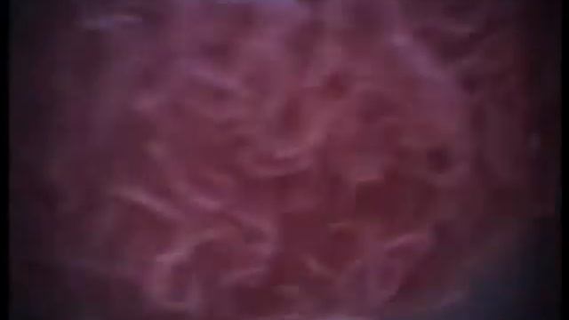 Dance School MARA (Вас пригласить хочу на танец....) 1975 год смотреть онлайн