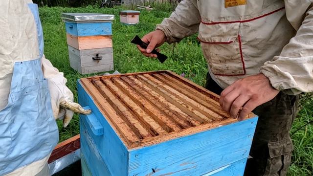 Пчёлы заливают рамки поставленные на осушку смотреть онлайн