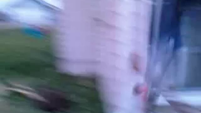 backyard skateboard.3g2 смотреть онлайн