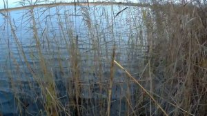 Ловля раков раколовками Тест Наживок Как ловить раков на Верши (морду) осенью