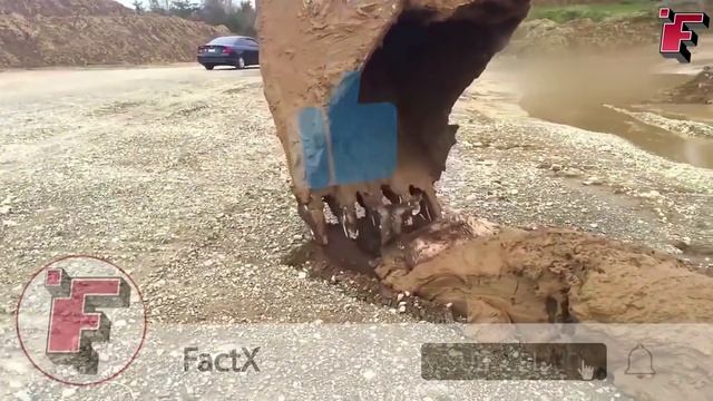 Посмотрите, что Бывает, Когда Животные Просят Помощи у Людей смотреть онлайн