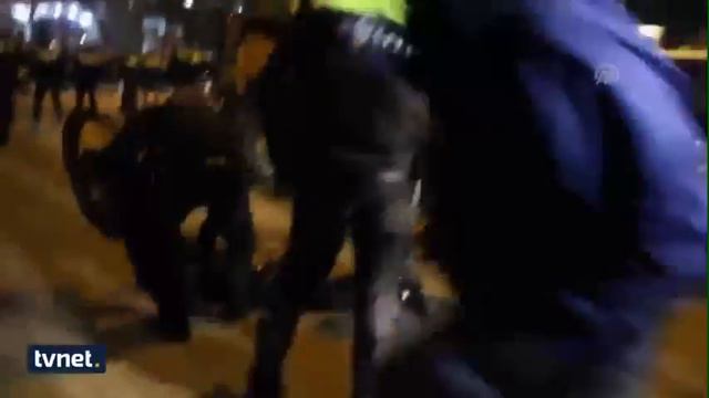 В Голландии демонстрантов Турки травят собаками смотреть онлайн