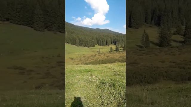Красивые горы Альпы, Австрия?! смотреть онлайн