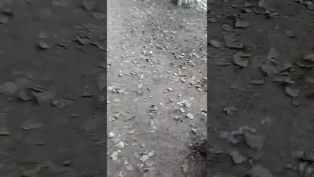 Розыгрыш айфонов 4 5 6 7 смотреть онлайн