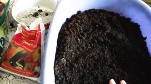 Что бы рассада не болела! Или как правильно прожаривать грунт!!!