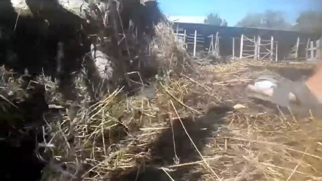 Приготовление к рыбалки. Готовлю прикормку, червей и буду пробовать на бойлы.