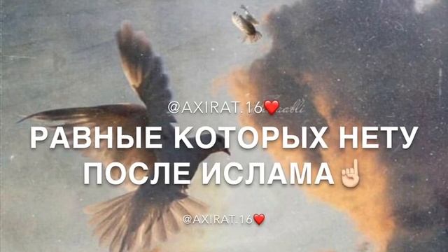 Цените матерей? смотреть онлайн