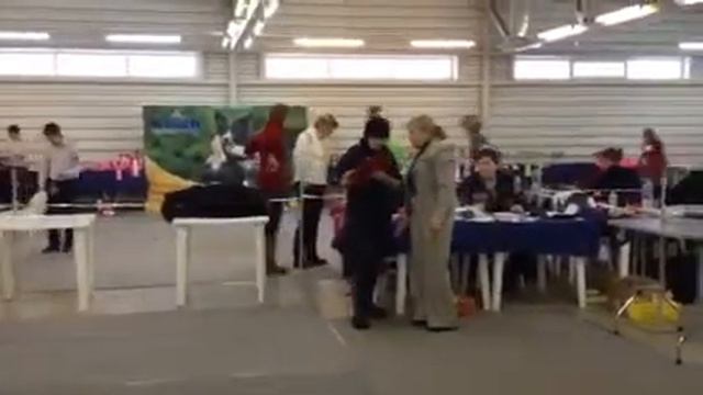 Хромой Лабрадор смотреть онлайн