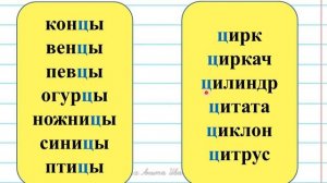 Заглавная и строчная буквы Ц,ц. Урок обучения грамоте (русского языка), 1 класс.