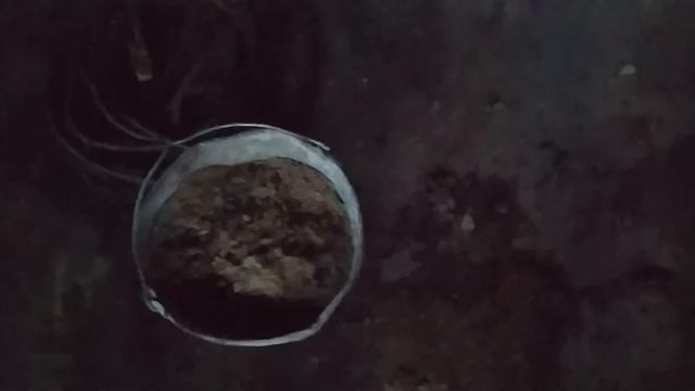 На работу с удовольствием !!! ПЯТНИЦА УРА !!! смотреть онлайн