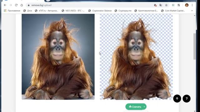 Обзор сервиса для идеального удаления фона с фотографий смотреть онлайн