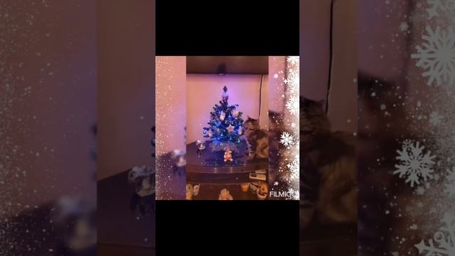 Скоро НОВЫЙ ГОД 2023!!! Вы нарядили уже Ёлочку? смотреть онлайн