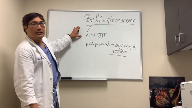 Bell’s phenomenon in NOP смотреть онлайн