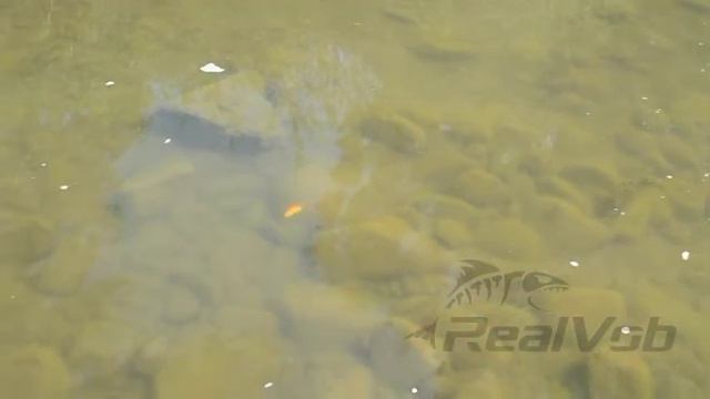 Воблер RealVob "Hop-Hop" смотреть онлайн