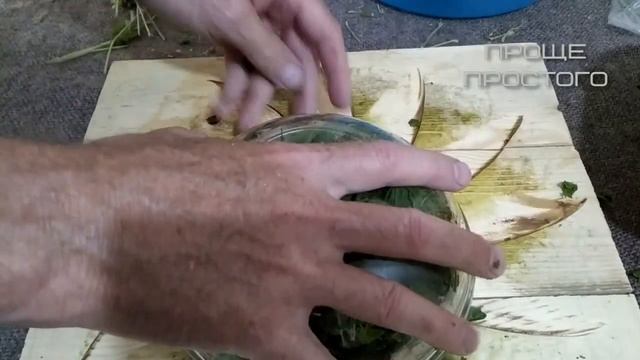 Секреты ферментированного чая...Этот чай теперь можно пить на ночь.... смотреть онлайн