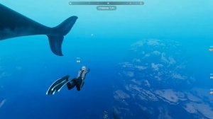 КИТЫ И ДЕЛЬФИНЫ! ПОДВОДНЫЙ МИР ОКЕАНА ДЛЯ ДЕТЕЙ!  Beyond Blue 1 - СЕРИЯ.