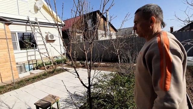 Обустройство сада. Санитарная обрезка персика смотреть онлайн