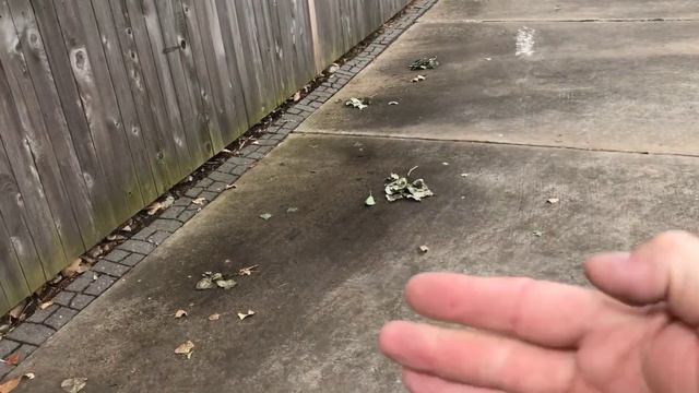 Back In (Monkey Wrench) Business!! смотреть онлайн